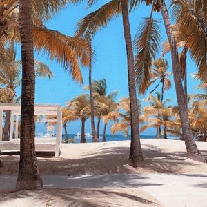 Meet your Posher, Anjali